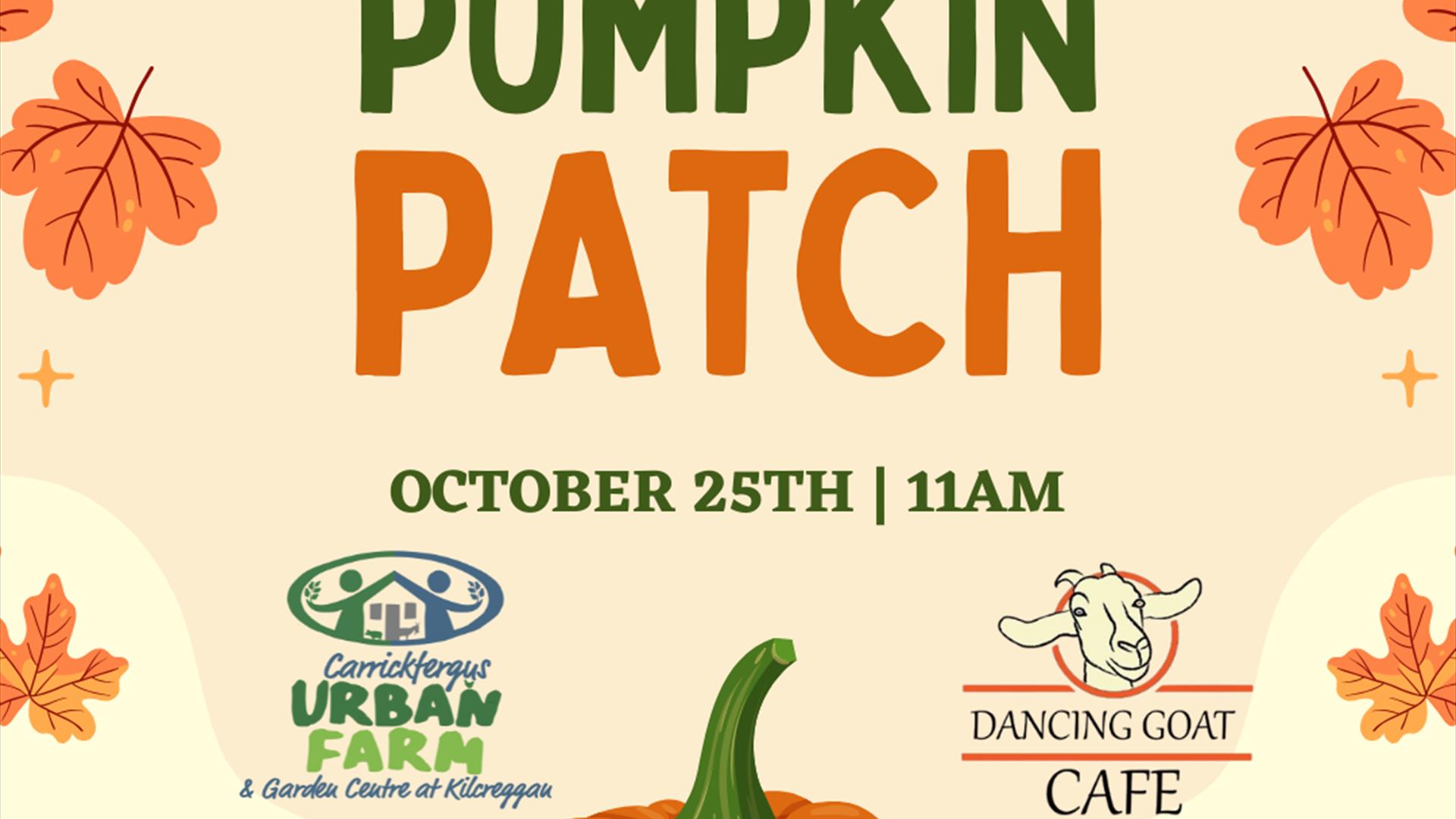 Pumpkin Patch