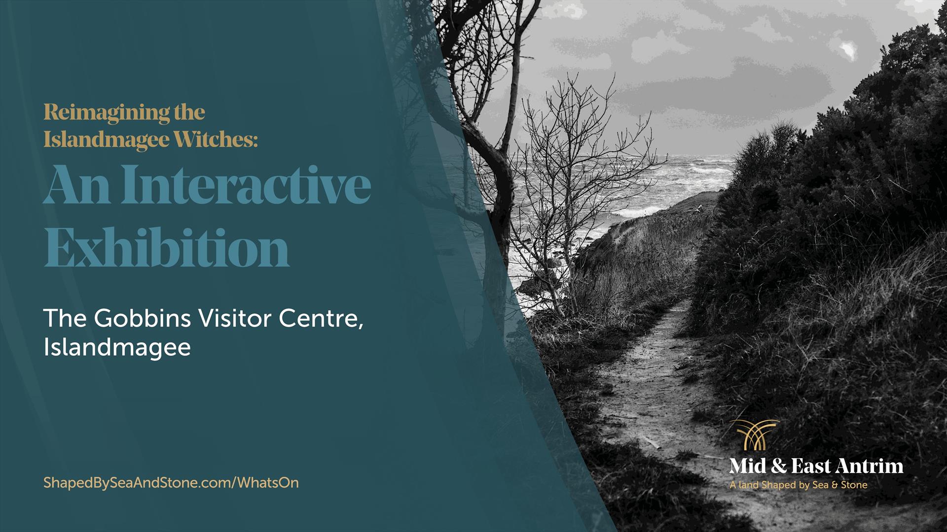 Witches of Islandmagee marketing graphic