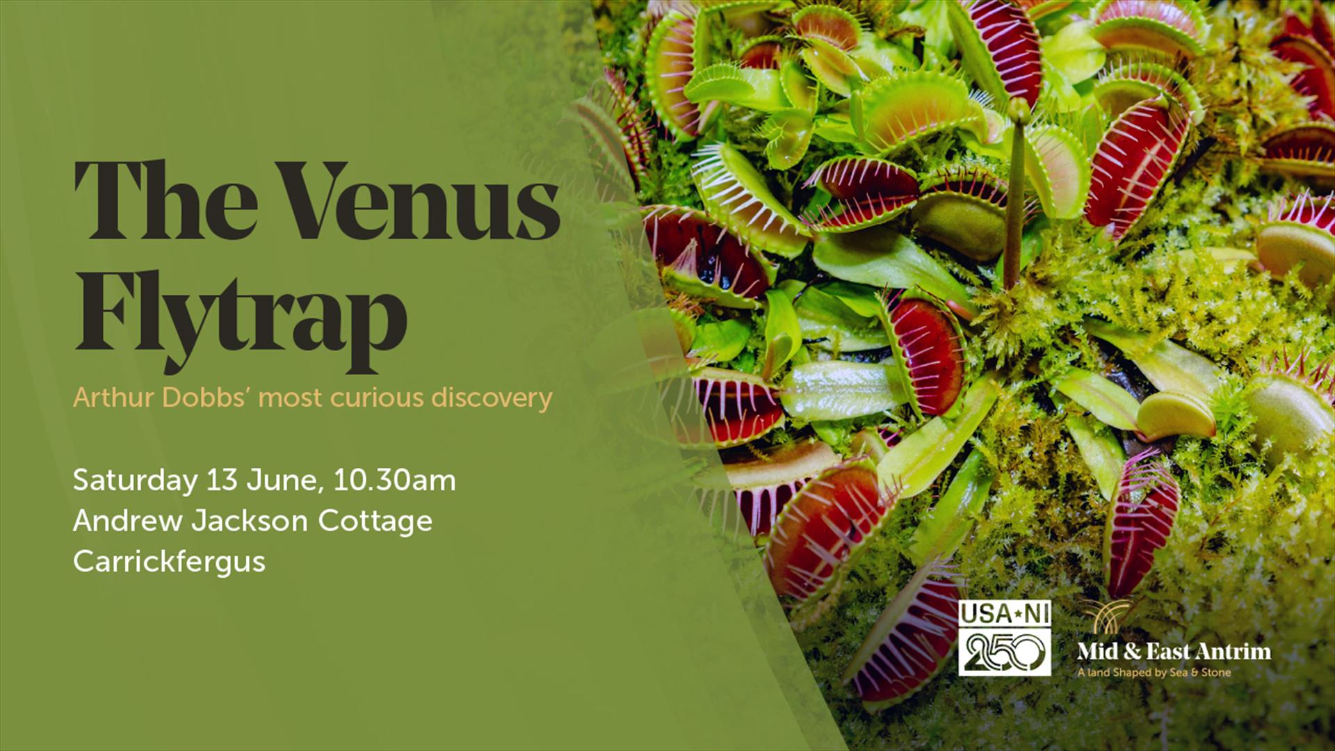 Poster for A Dobbs event, Most curious discovery