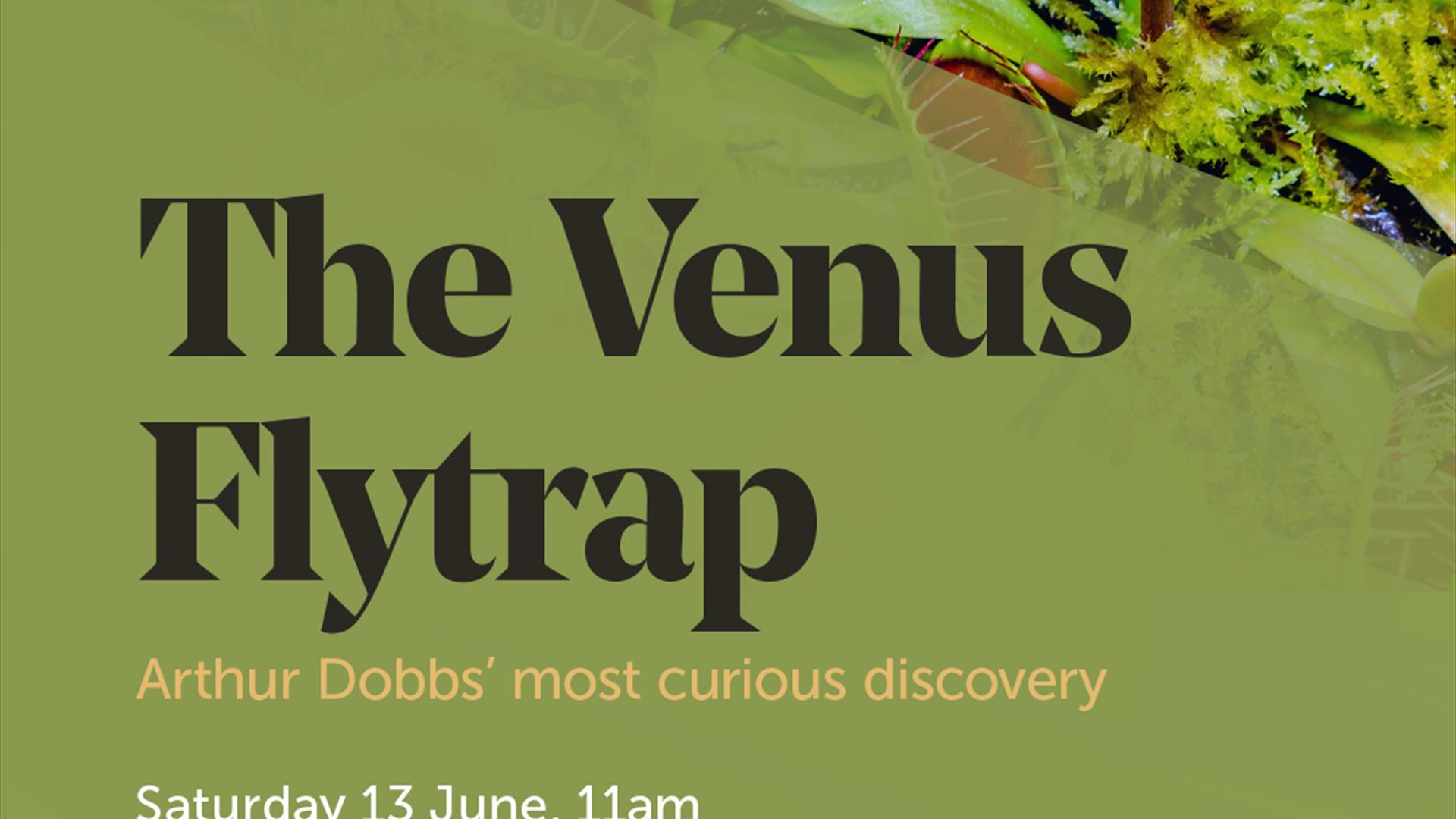 Poster for A Dobbs event, Most curious discovery