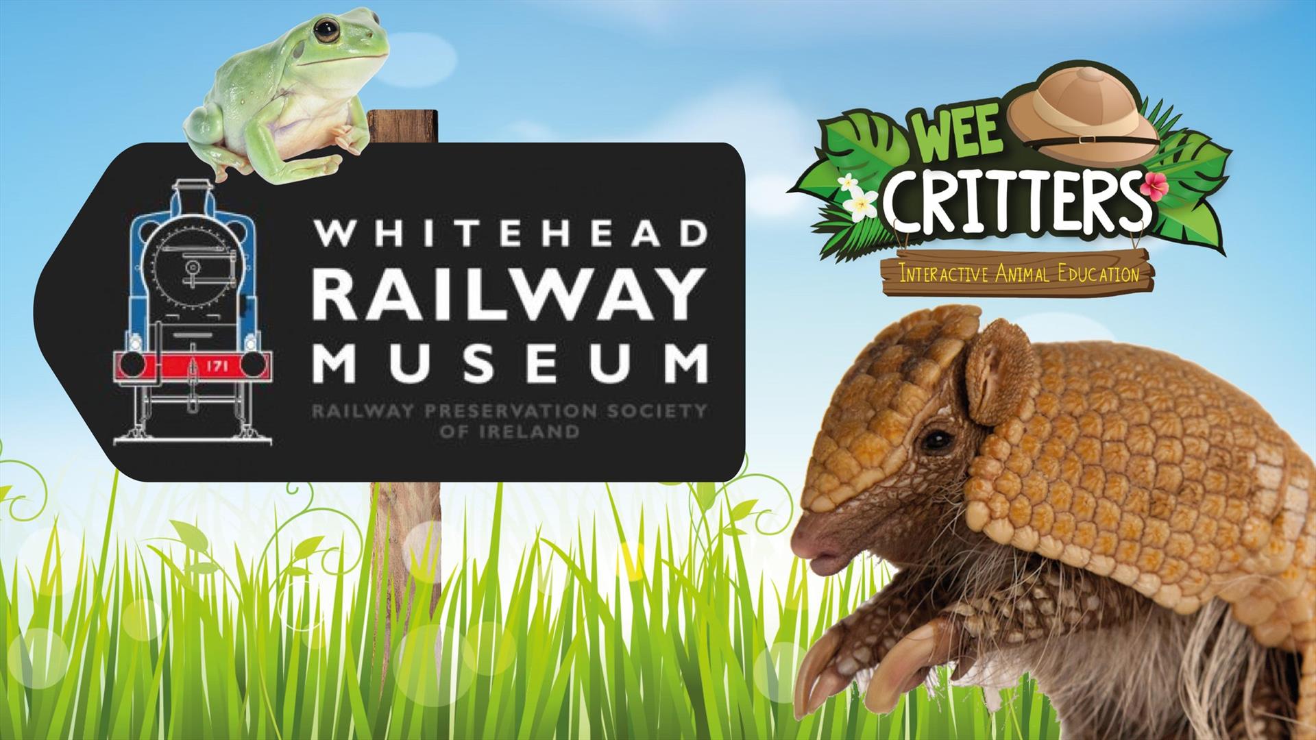 Whitehead Railway Museum, Wee Critters, Whitehead
