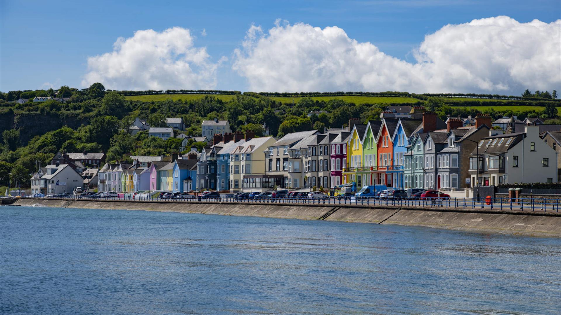 Whitehead Summer Festival 2025