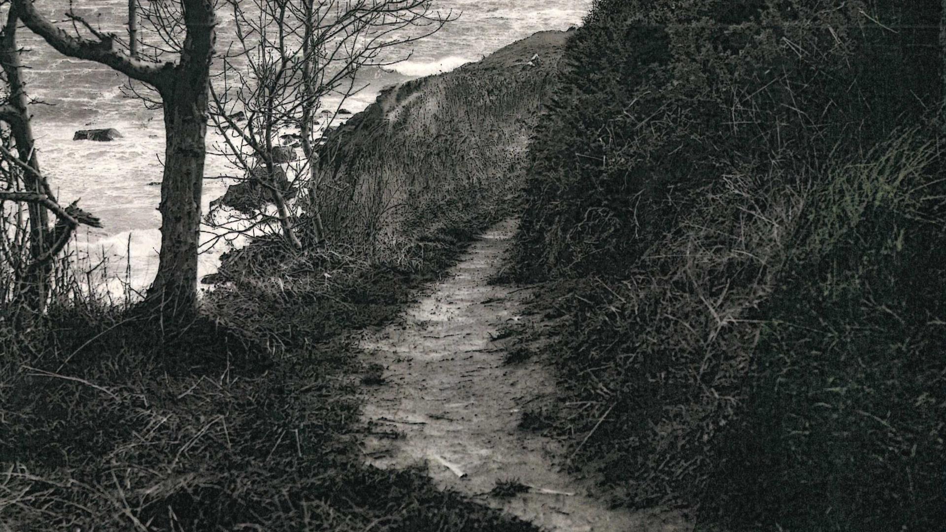 Islandmagee
