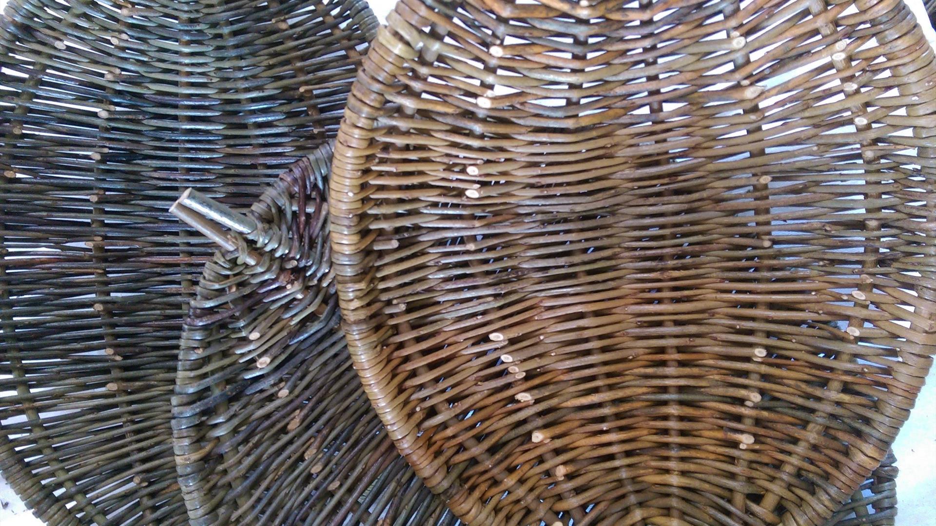 Willow Weaving workshop