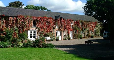 Jenny Bristow Cookery School Experience