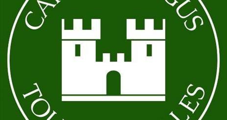Logo got Carrickfergus Tours and Tales with green background and castle in the centre