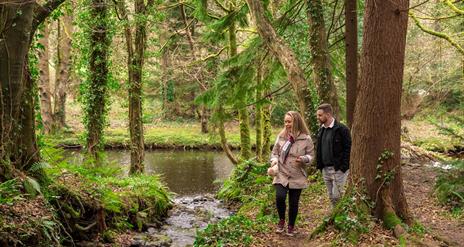 Man and woman walking alongside River in Glenarm Forest surrounded by trees