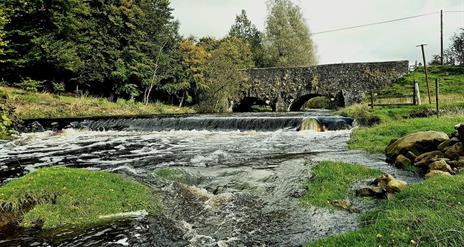 Trout Tours NI