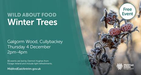 Wild About Food - Winter Trees, Galgorm Wood, Cullybackey,  Thursday 4 December, 2 - 4pm