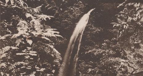 Postcard showing Waterfall, Magheramorne, Larne.