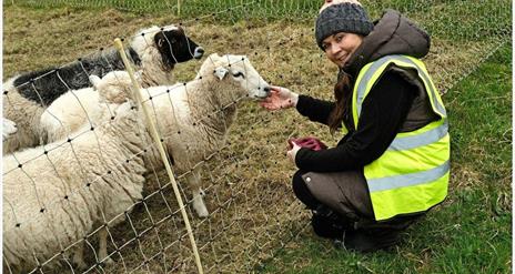 Bank of Ireland Open Farm Weekend - Jubilee Farm