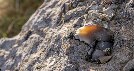 Flint bearing limestone cliffs at Glenarm by Paul McIlwaine