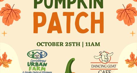 Pumpkin Patch