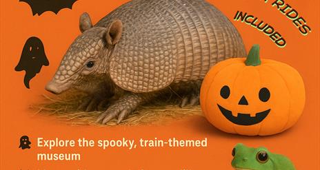 Pumpkins, Paws and Scales