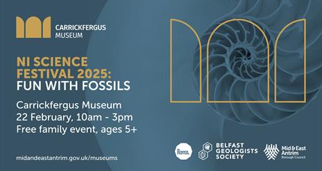 Fun With Fossils