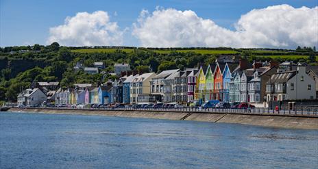 Whitehead Summer Festival 2025