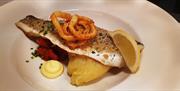 Fish served on a white plate with vegetables