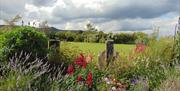 View of rear garden