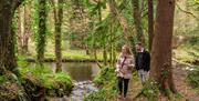 Man and woman walking alongside River in Glenarm Forest surrounded by trees