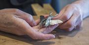 A pair of hands holding an ornate pewter beetle shaped brooch created by Gobbins Crafts