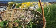Coastal scene with foraged greens in a basket with picnic blanket