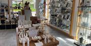 Gift shop in Gobbins Visitor Centre featuring shelf displays of books and table displays of candle products