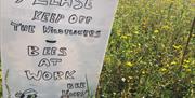 Sign reading 'Please keep off the wildflowers - Bees at Work' - Bee happy at Sunflower Field Portglenone