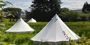 Bell tents at Willow and Lore Wild Glamping