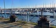 View from exterior balcony of Wind Rose overlooking boats on Carrickfergus Marina