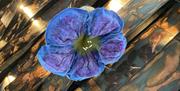 Felted blue Flax Flower on display at Titanic Belfast