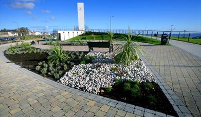 Planted border beside paving area with Carrickfergus Clock Tower to rear