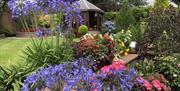 Gardens at the height of summer!!