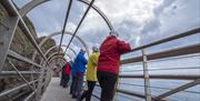 tour group on Gobbins cliff path metal bridge looking out over the sea