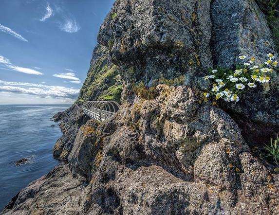 A view of the tubular bridge with flowers on the rock face and the ocean beyond.