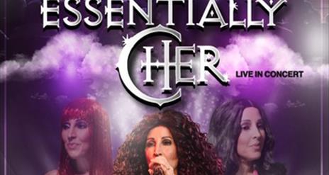 Essentially Cher wording with 3 pictures of Cher