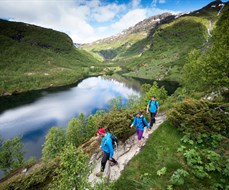 Vandrebussen frå Aurlandsdalen