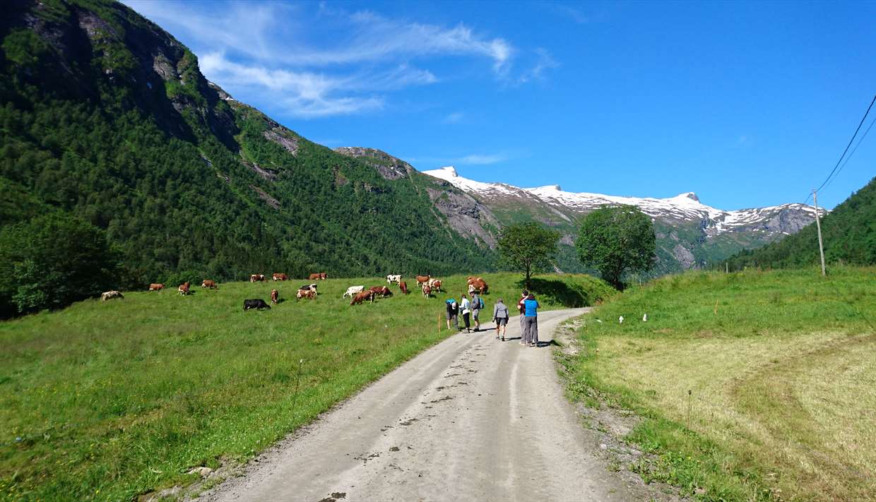 Mundal, Fjærland