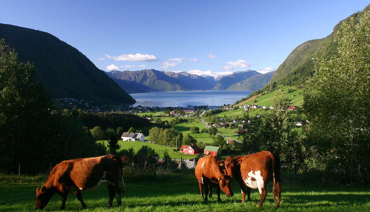 Hovsåsen, Vik