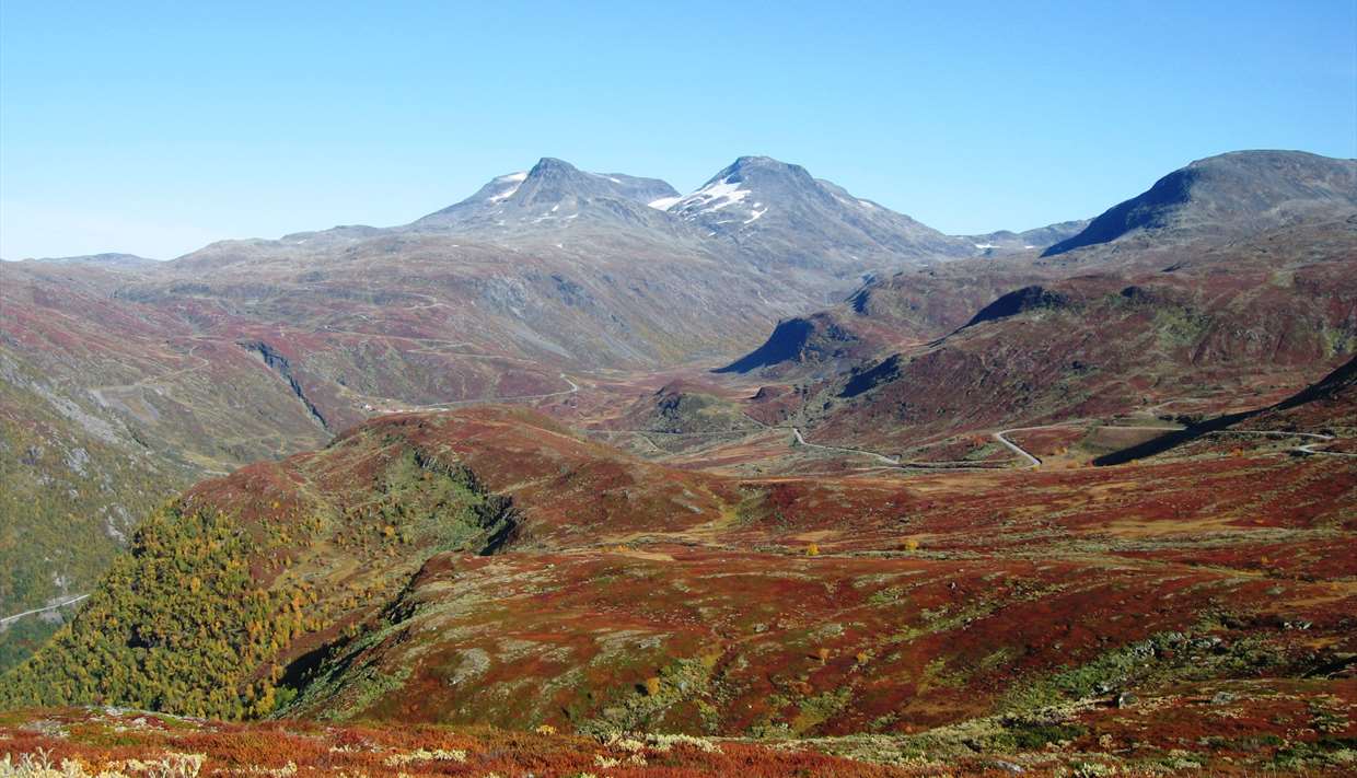 Tindevegen