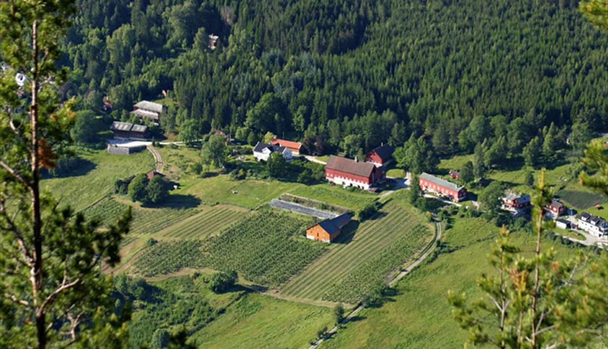 Amble gård / Cottages for rent
