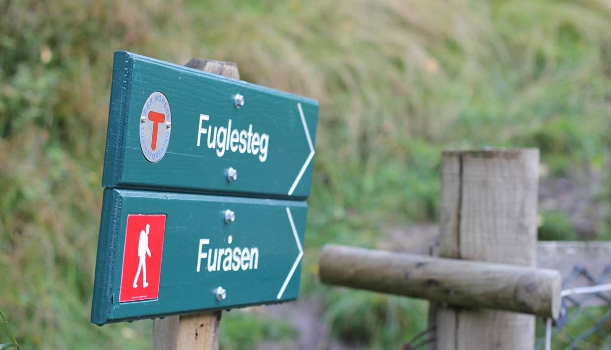 Furåsen, Fortun