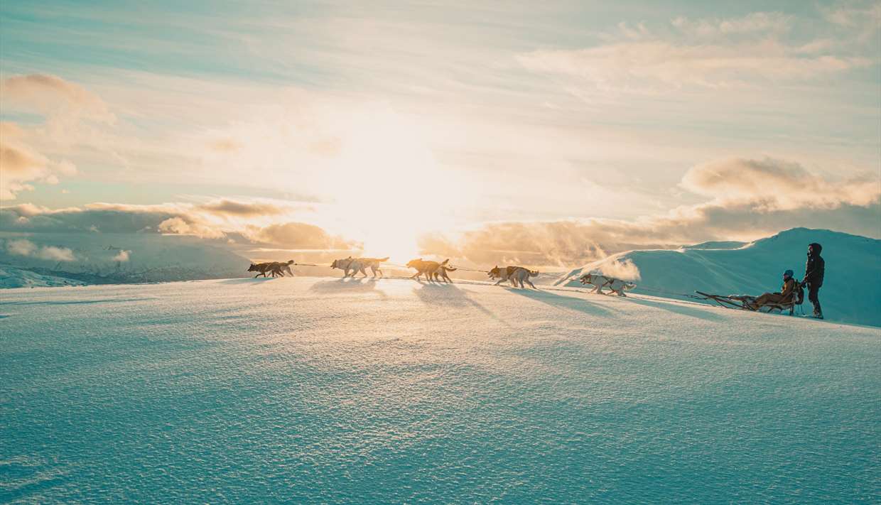FjordHusky half day tour