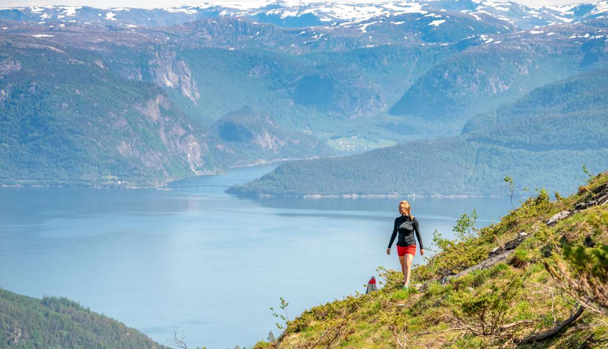 Fuglefjell, Lavik