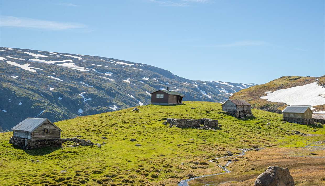 Nasjonal turistveg Aurlandsfjellet