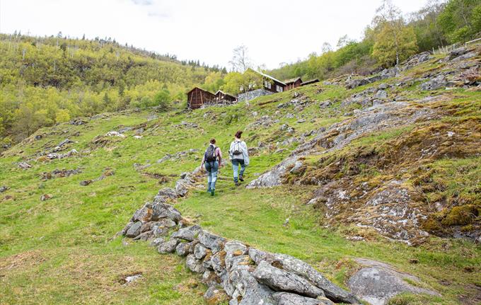 Avdalen Gard, Årdal