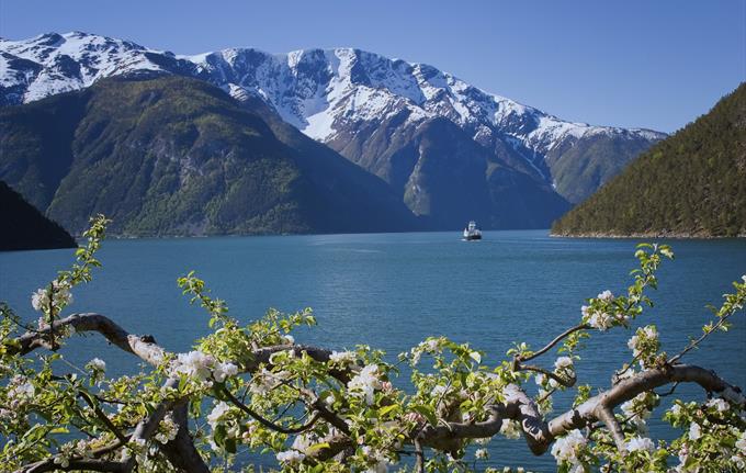 Fjord Cruise Kaupanger - Gudvangen