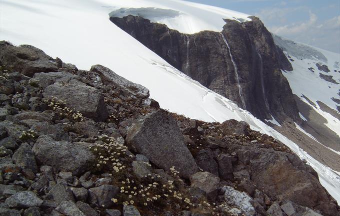 Fresvikbreen Glacier