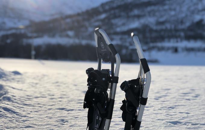 Snowshoe Sogndal