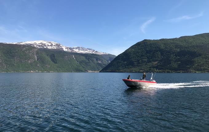 Gamle Trevaren Boat Rental Vik