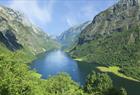 Nærøyfjord Sightseeing rundtur